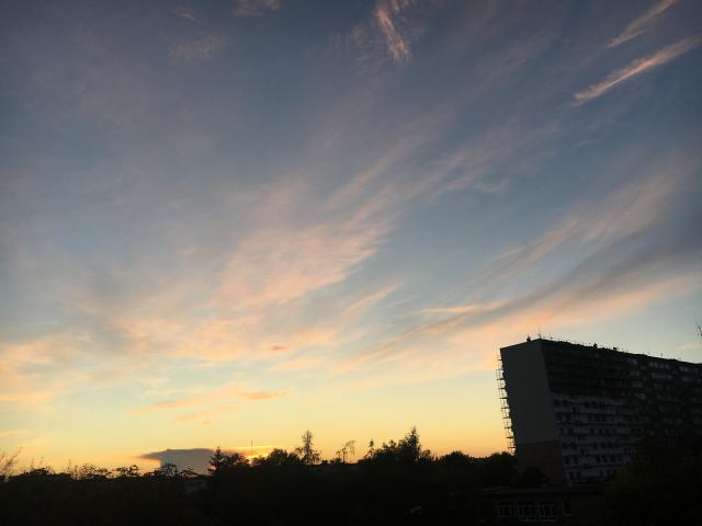 Wpis naturaldo
