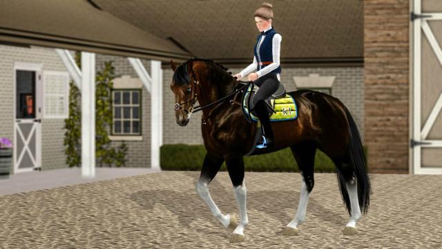 Wpis horseshoe152