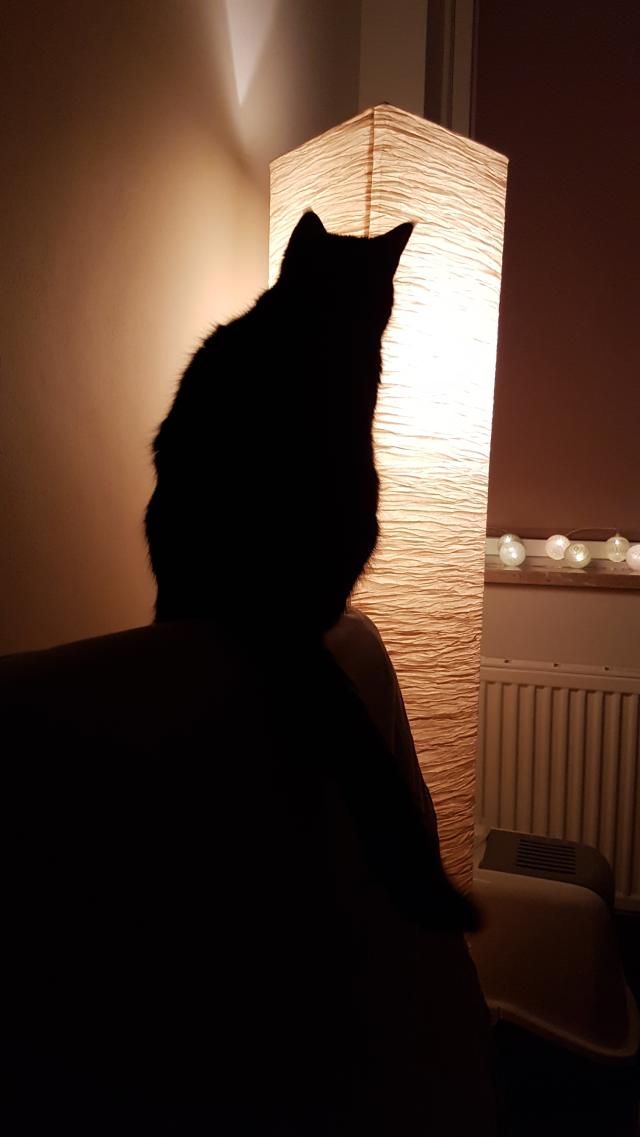 Wpis vonschweetz