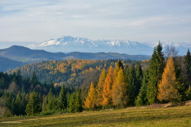 Widok z Obidzy