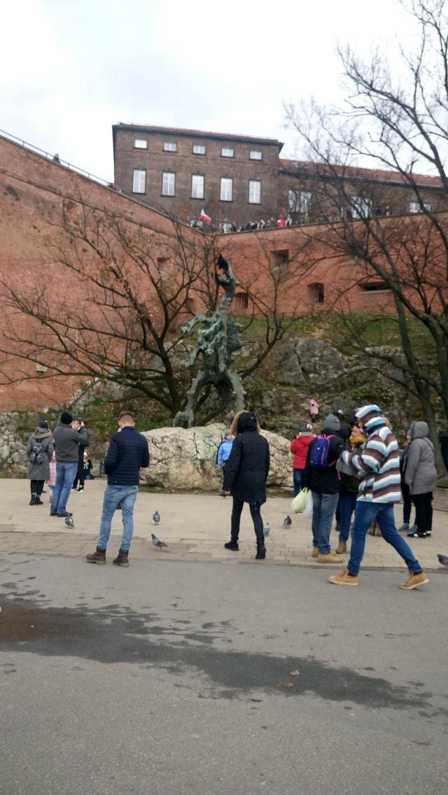 Wpis kopytnika13