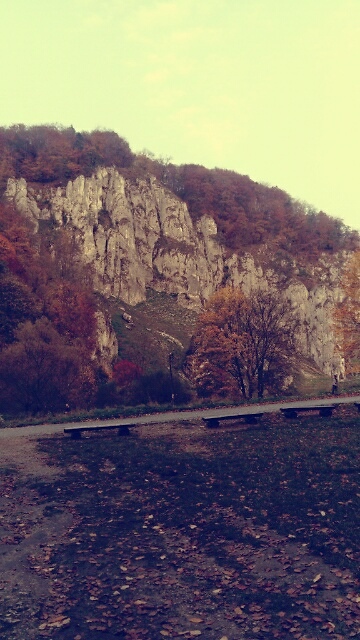 Wpis aledamyrade