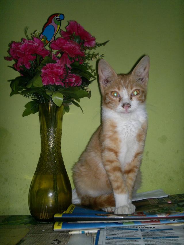 Model :) 