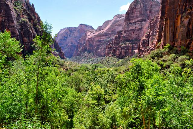 Zion NP - Widok z Weeping Rock