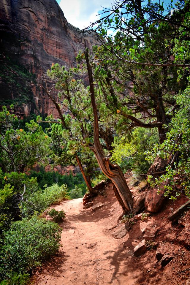 Zion NP - Heaps Canyon