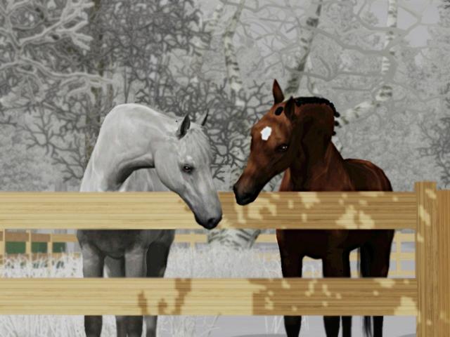 STR April Dream & CREC Mercy