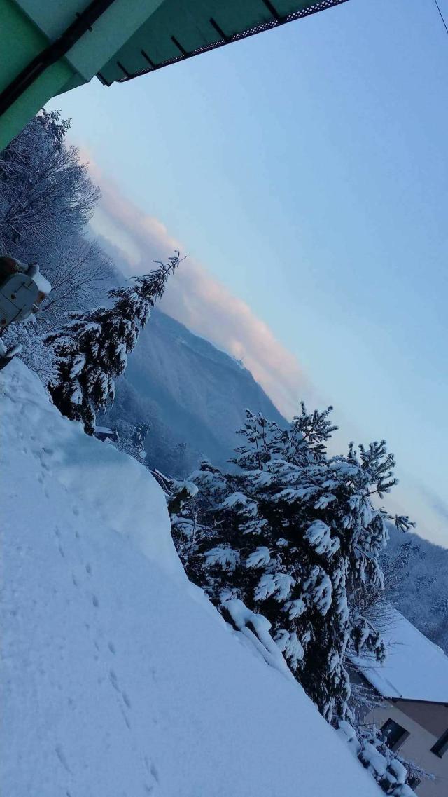 Zima
