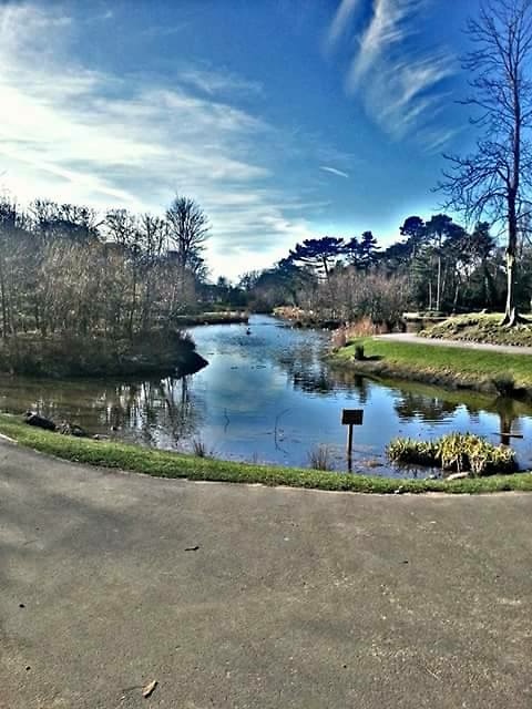 Park