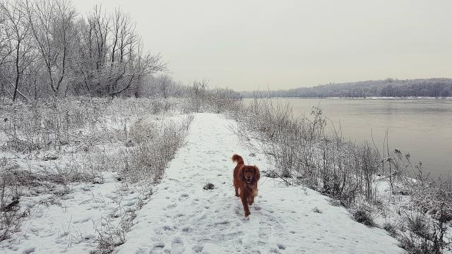 Benek :)