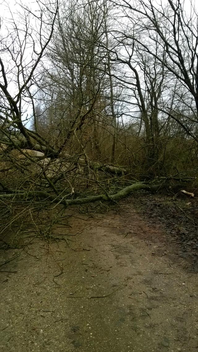 Blokada na ciece rowerowej.
