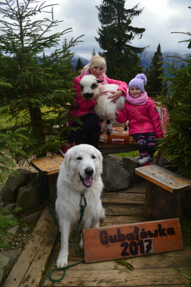 Zakopane 2017