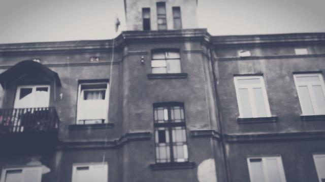 Wpis kruczyca