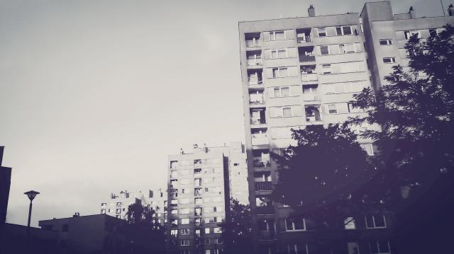 Wpis kruczyca