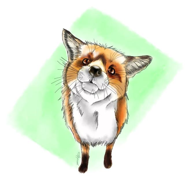 The FoX