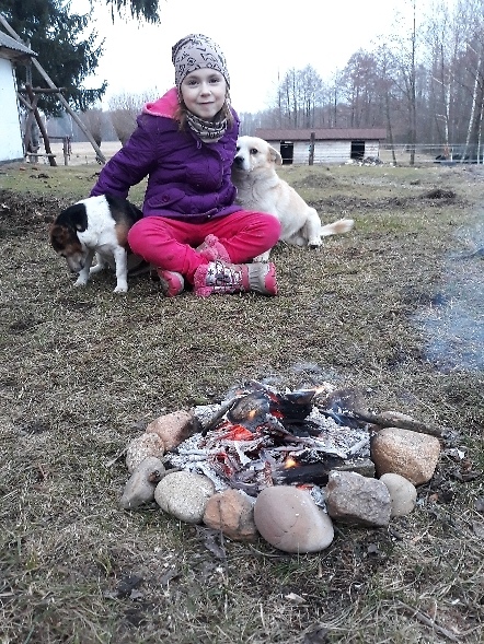 Wpis stajnialansada