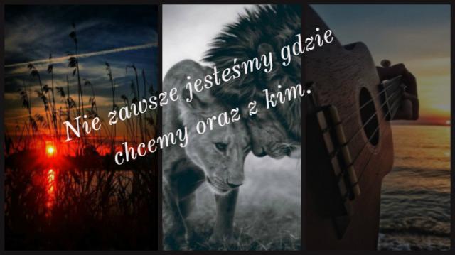 Dlaczego? Gdzie? Z kim?