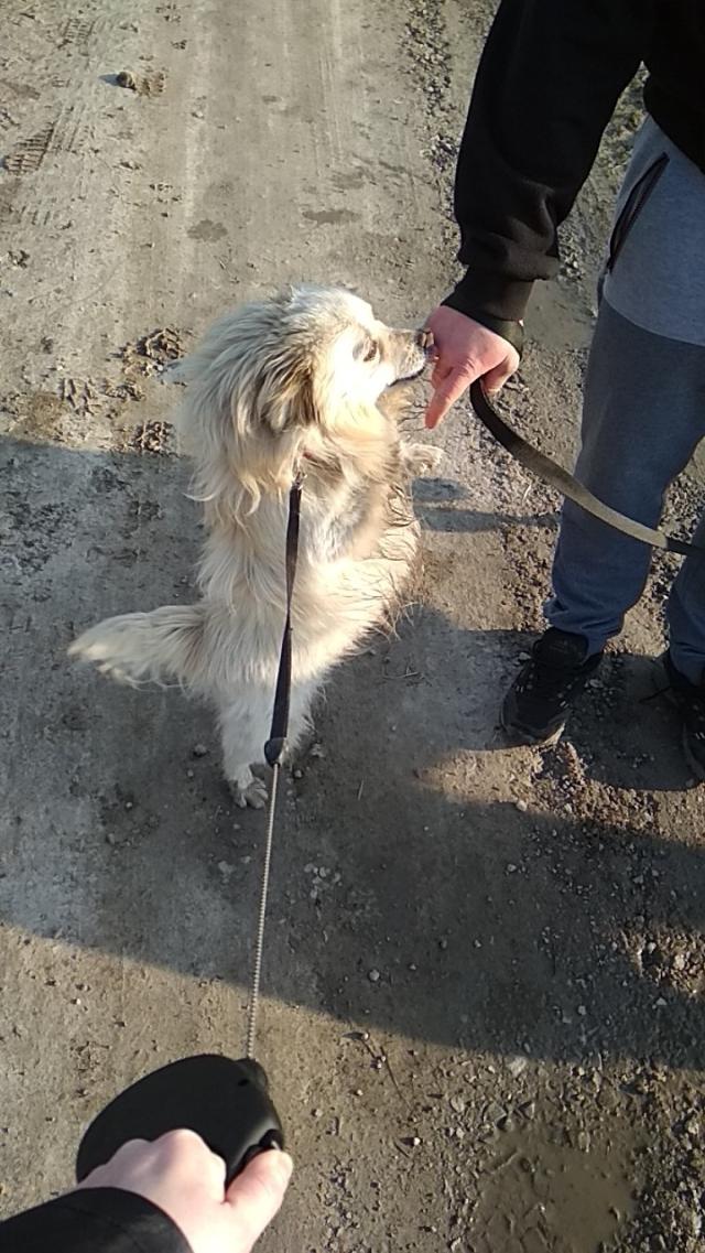 Wpis dodoijejzycie