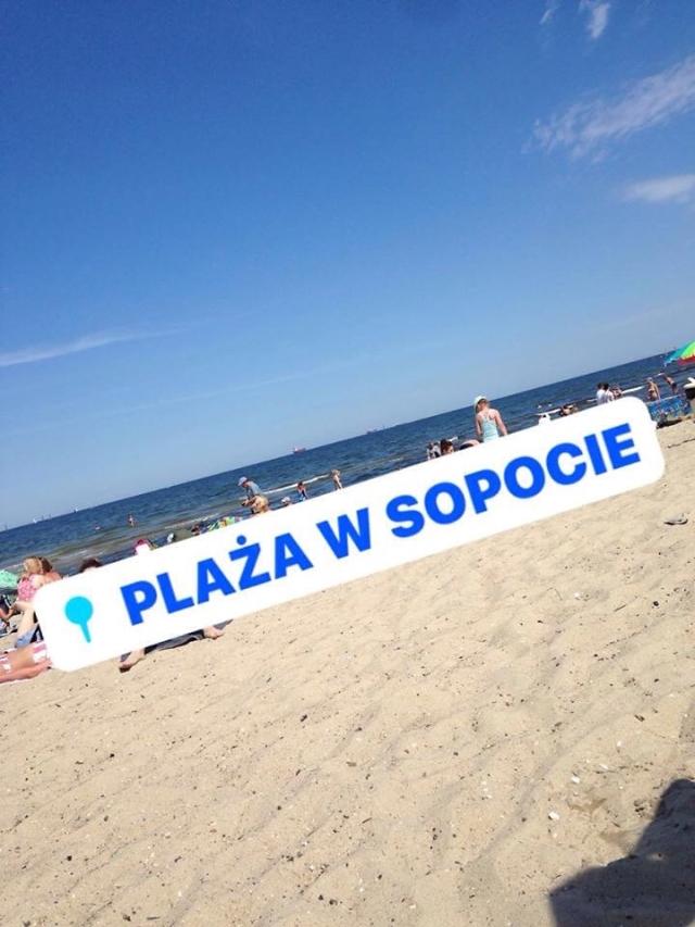 Wpis suczsiesuczo