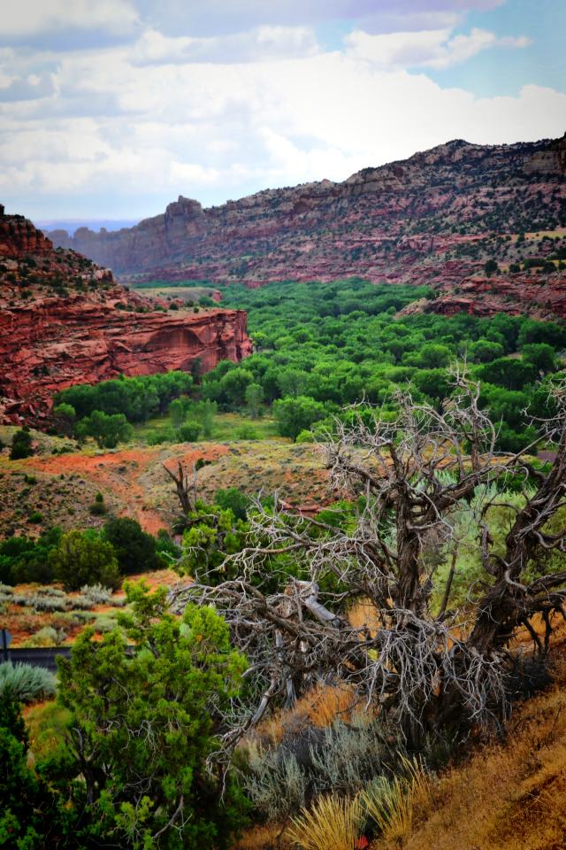 USA - Grand Staircase-Escalante