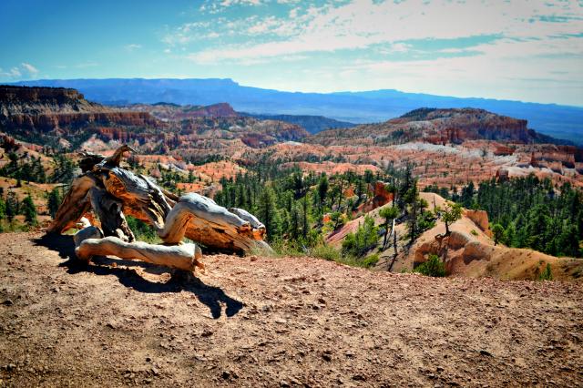 USA - Bryce Canyon