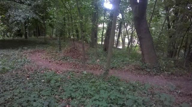 Trail