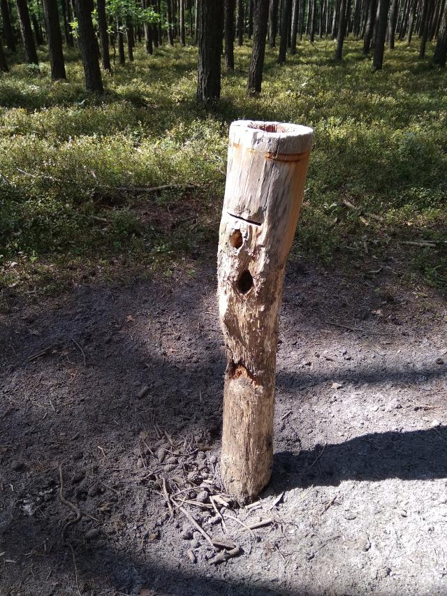 Totem nadlenictwo kolumna