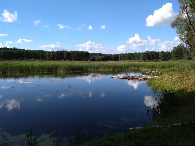 Jezioro nadlenictwo Kolumna