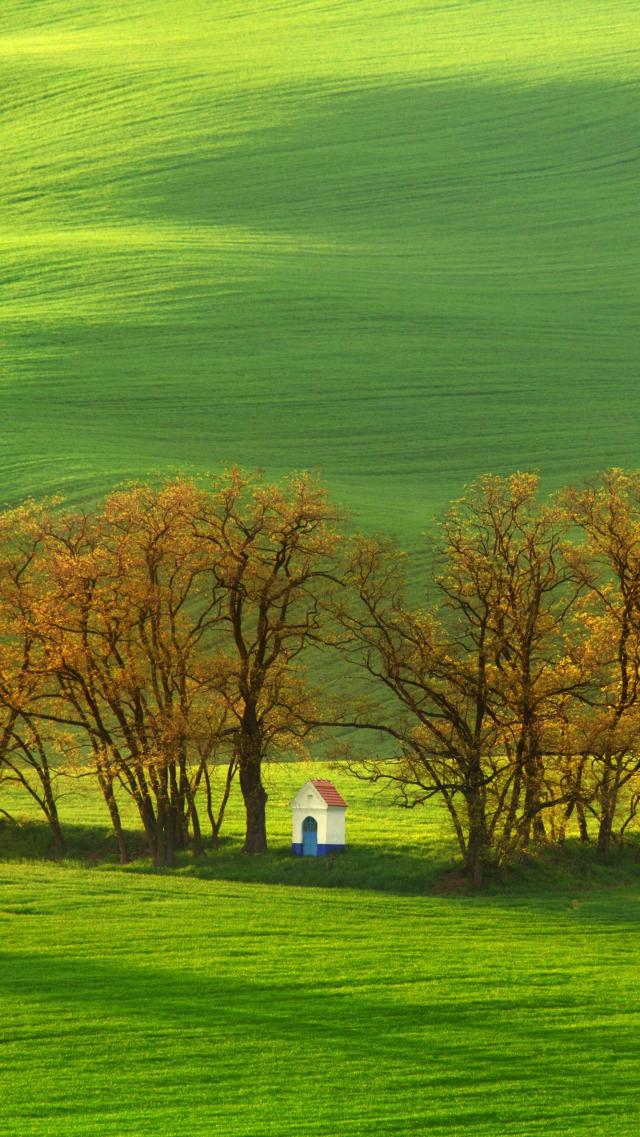 Zapraszam do klikania 