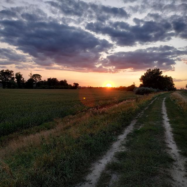Sunset in the countryside