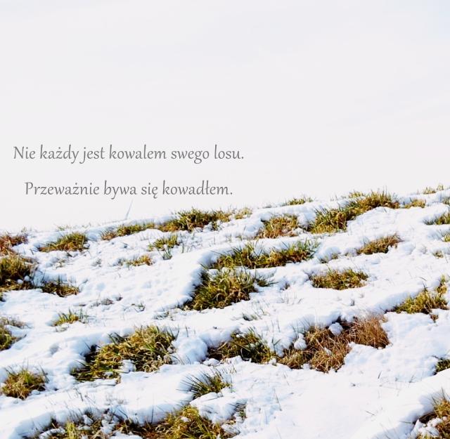 Wpis enshoelletui