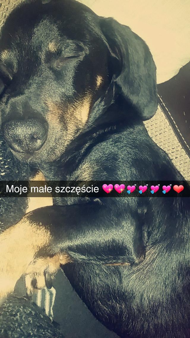 Odeszlo moje szczescie :(