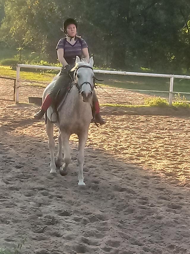 Jazda sportowa Efi