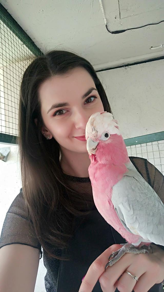 Pink power