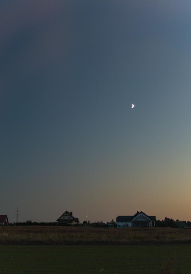 moonlight.