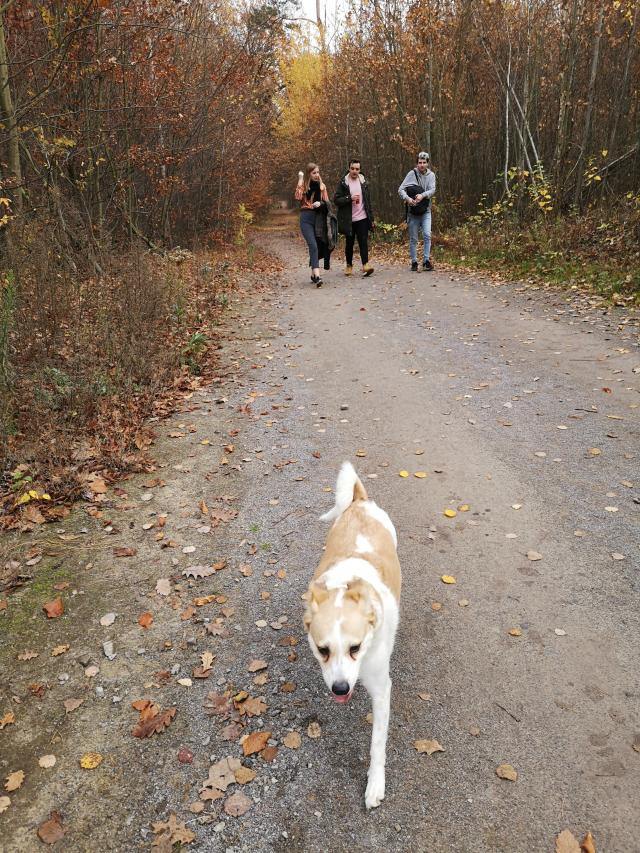 Najpikniejsza jesie