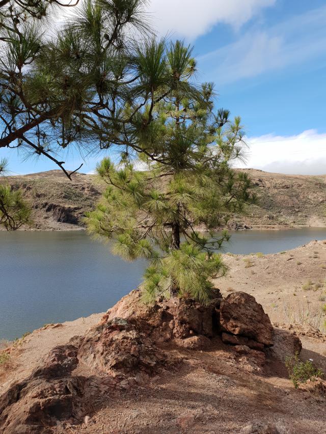 Presa del Chira, Spain
