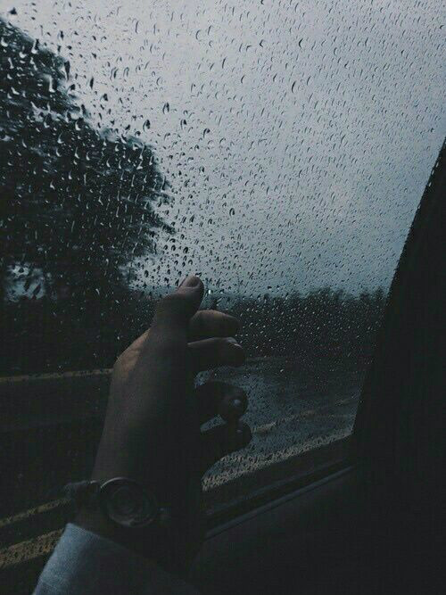 Wpis myvacuity