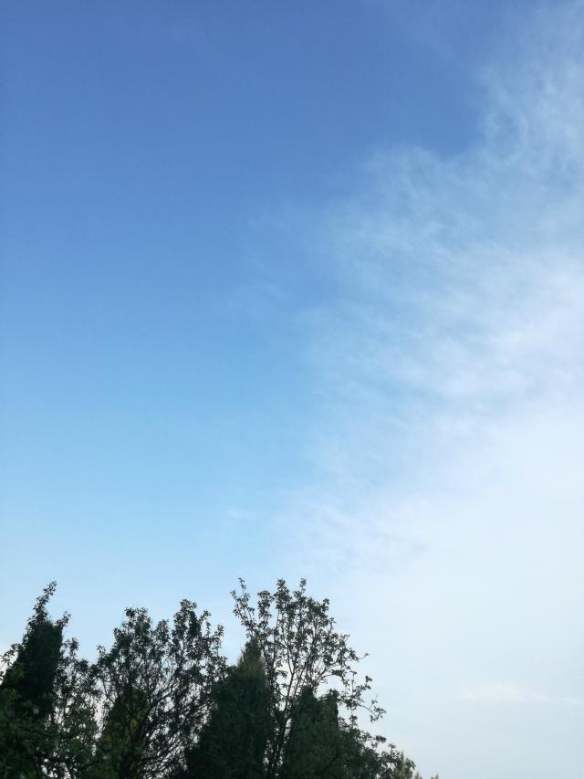 36.