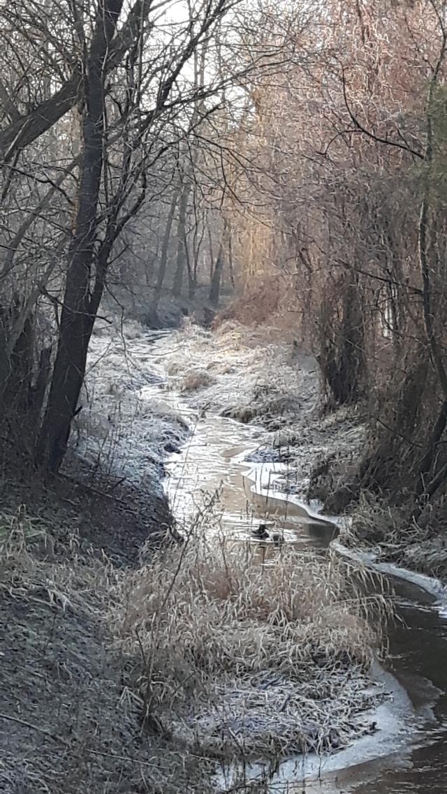 Zima nad strumykiem.