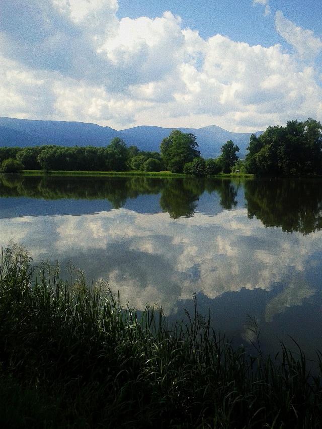 Bukowiec &#128171;