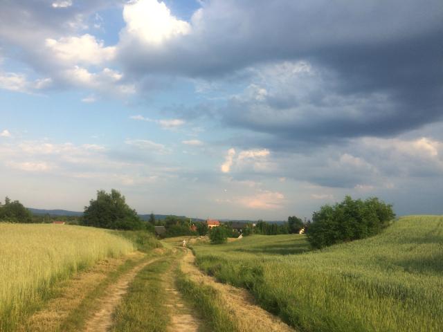 odrodzenie.