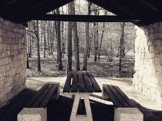 Wpis fotoniedarek
