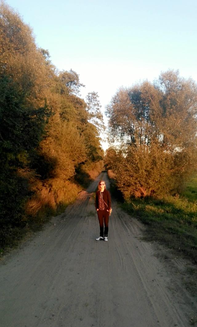 Wpis brzozowy
