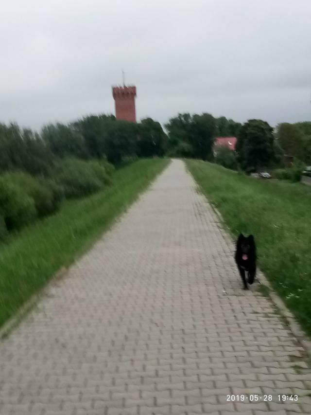 Wpis dawid09111