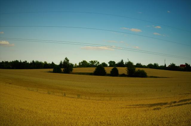 Wpis jamesphotography