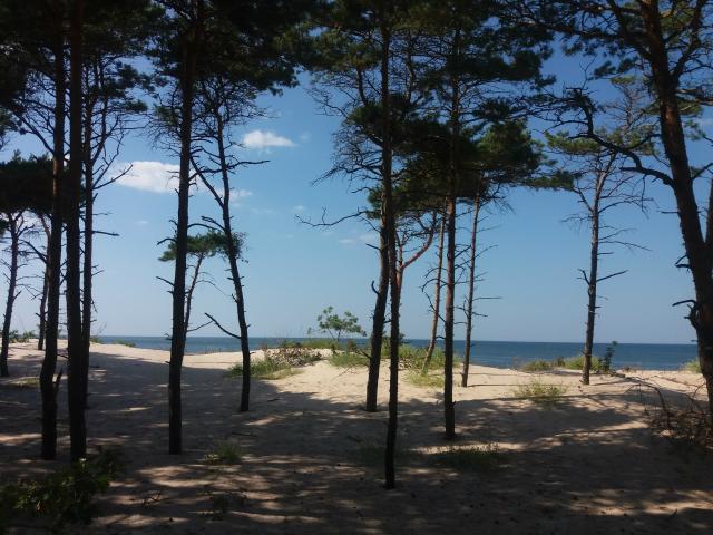 Wpis wkrainiezycia