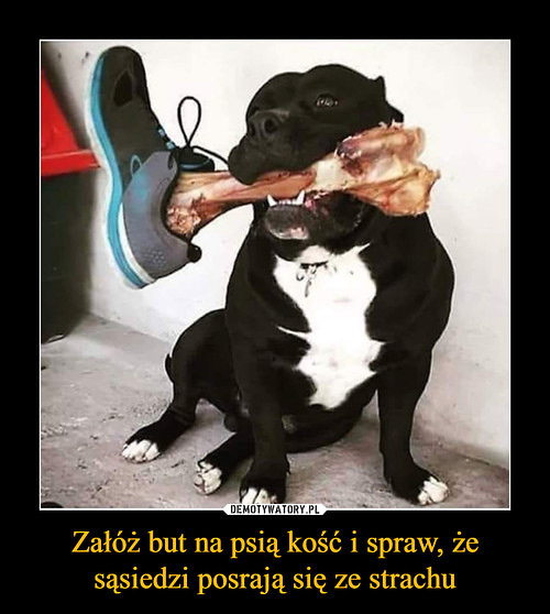 Wpis dawid09111