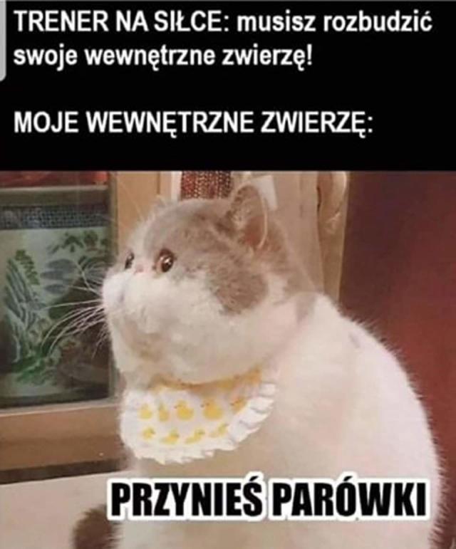 Wpis yhyyymmm