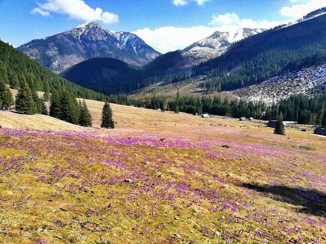 Zakopane&#128151;