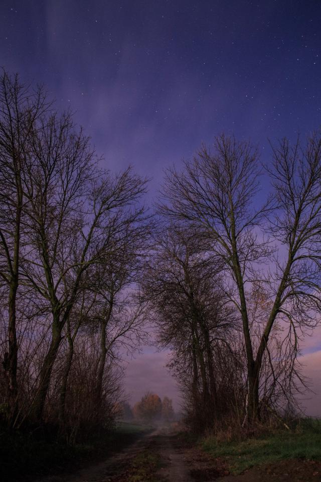 Night